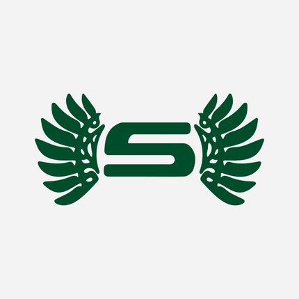 Collection image for: Salzburg Ducks