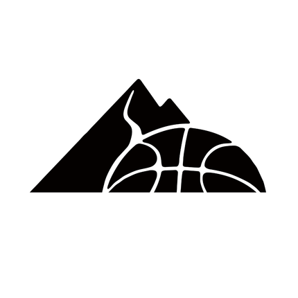 Collection image for: Zell Basketball